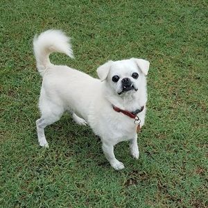 Meet your Posher, Jack